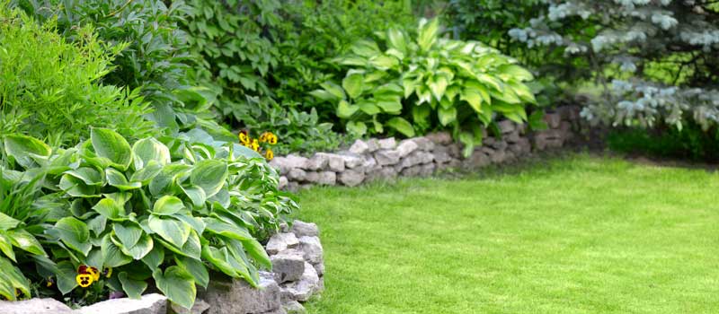 Landscape Design