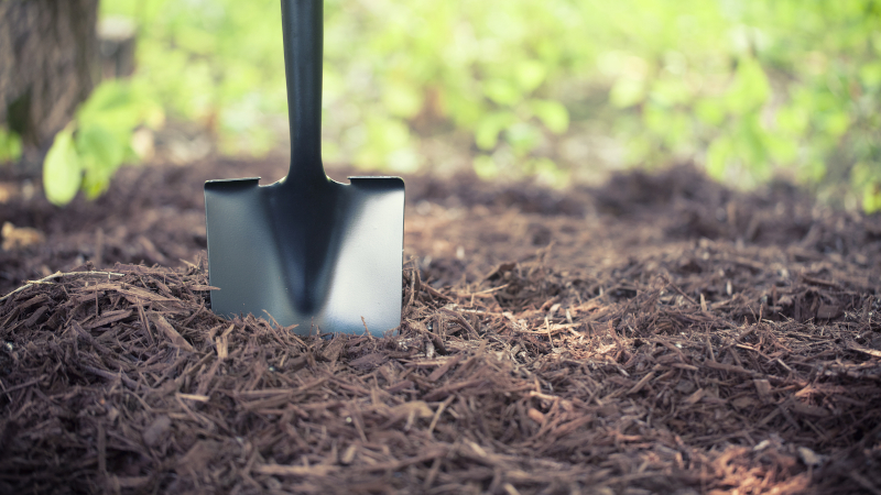 5 Things You Need to Know About Mulch